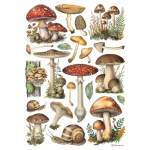 Stamperia A4 Rice Paper - Mushrooms - DFSA41000