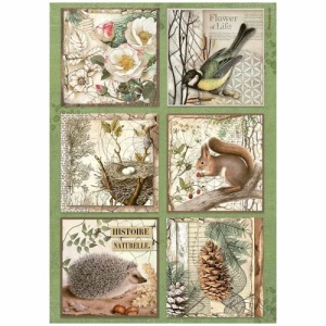 Stamperia A4 Rice Paper - Forest - 6 Cards - DFSA4952