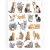 Stamperia A4 Rice Paper - Cats - DFSA4887