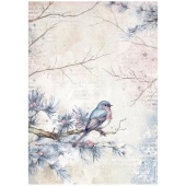 Stamperia A4 Rice Paper - Dewdrops - Bird - DFSA4973