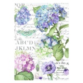 Stamperia A4 Rice Paper - Hortensia and Dragonfly - DFSA4307